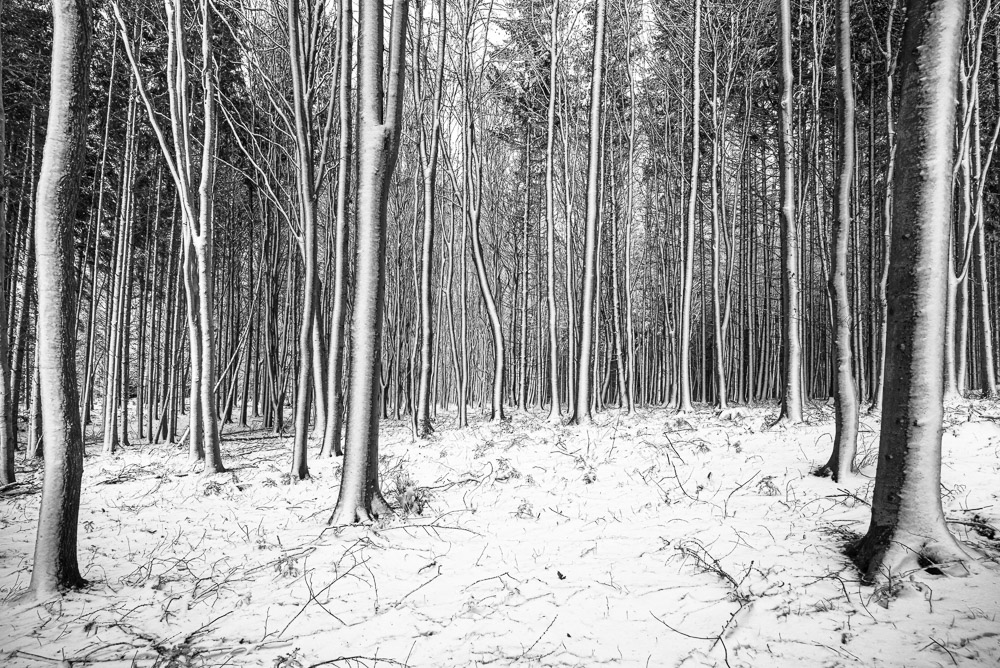 Platz 12 Michael Mayer